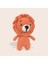 Amigurumi Kit Başlangıç Seviye Amigurumi Kiti Amigurumi Örgü Kit El Örgü Kiti 4