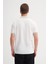 3031 Erkek Polo Yaka Triko T-Shirt 4