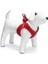 Köpek Göğüs Tasması, Neopren, Kırmızı, S, 38-44cm 3