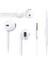 Earphone kulalık mikrofonlu ( lisinya ) 1