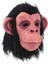 Siyah Saçlı Kafaya Tam Geçmeli Lateks Şempanze Maskesi - Lateks Maymun Orangutan Goril Maske Et Maske 2