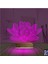 Kirppi 3D Lamba Lotus Çiçek Yoga Masa Gece Lambası 4