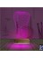 Kirppi 3D Lamba Diş V1 Masa Gece Lambası 4