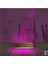 Kirppi 3D Lamba Kurt Polygonal Masa Gece Lambası 4