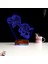 Kirppi 3D Lamba Sevimli Dinozor Masa Gece Lambası 5