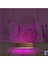 Kirppi 3D Lamba Kedi Polygonal Tasarım Masa Gece Lambası 4