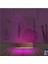 Kirppi 3D Lamba At Tasarım V7 Polygonal V2 Masa Gece Lambası 4