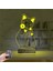 Kirppi 3D Lamba Sevimli Kedi Masa Gece Lambası 5