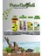 Kaplumbağa Tam Bakım Ve Mix Yem Seti(Vitamin,Kabuk Koruyucu,Su Düzenleyici) 2