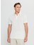 Polo Yaka Düz Ekru Erkek T-Shirt ACE091252045_EKR 3