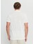 Polo Yaka Düz Ekru Erkek T-Shirt ACE091252045_EKR 5