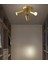 Mylights Mat Altın Metal Hareketli LED Avize LED Spot Günışığı Ampullü 2