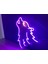 Neon LED Duvar Dekoratif Aydınlatma -Kurt, 23X25CM- 3