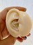 G23 Titanium (Titanyum) Zirkon Taşlı Üçgen Model Septum Daith Uyumlu 1 Adet Piercing 2