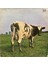 Pink Floyd – Atom Heart Mother 1970LER Baskı Lp 1