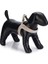 Dbl Köpek Göğüs Tasması, Velur, Gri, S, 20MM x 52CM 2