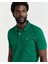 Polo Yaka Regular T-Shirt 2