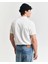 Polo Yaka Regular T-Shirt 3