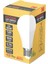 10 Adet Kodak 9 W LED Ampul 6500 K Beyaz Işık 1