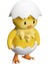 Hatchling Figür – 5 cm Koleksiyon Oyuncağı 3