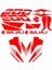 Bajaj Pulsar NS200 Uyumlu Kırmızı Sticker Set 1