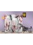 Doğa Temalı Özel Tasarım Paravan Room Divider 180 x 200 cm 2