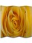 Doğa Temalı Özel Tasarım Paravan Room Divider 180 x 200 cm 1