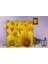 Doğa Temalı Özel Tasarım Paravan Room Divider 180 x 200 cm 2