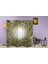 Para Temalı Özel Tasarım Paravan Room Divider 180 x 200 cm 3