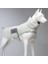 Air Puff Pearl Köpek Montu 1
