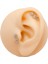 Cerrahi Çelik Piercing Dalında Yasemin Figürlü Kıkırdak Helix Tragus Piercing (1 Adet) 2
