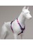 Pink Dream H Tipi Göğüs Tasması 3