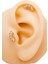 Cerrahi Çelik Piercing Damla Beş Taşlı Kıkırdak Helix Tragus Piercing (1ADET) 1