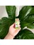 Ylang Ylang Yağı 1