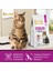 Adult Sterilised Kısırlaştırılmış Somonlu Yetişkin Kedi Maması 2 kg 2