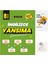 LGS Ingilizce Yansıma LGS Çıkabilecek Sorular+Zihin Deneme-St327 1