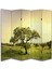 Manzara Temalı Özel Tasarım Paravan Room Divider 180 x 200 cm 1