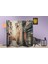 Şehir Temalı Özel Tasarım Paravan Room Divider 180 x 200 cm 2