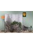 Doğa Temalı Özel Tasarım Paravan Room Divider 180 x 200 cm 3