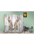 Motifli Özel Tasarım Paravan Room Divider 180 x 200 cm 3