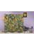 Soyut Temalı Özel Tasarım Paravan Room Divider 180 x 200 cm 2