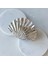 Metal Shell Mandal Toka 1
