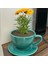 Dev Dekoratif Kahve Fincanı - Tabaklı Toprak Saksı 15*26 cm 4