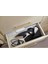 Steam Genie 28370-56 Çoklu Ütü Buharlı Pürüzsüzleştirici ve Buharlı Ütü 1700 W 3