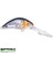 D. Spro Ikiru Baby Crank Dd Fl G-Sardin Maket Yem 1