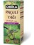 Paçuli Yağı 20 Ml. 1
