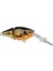 Ikiru Joint Crank 35 Yellow Perch Maket Yem 2