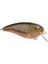 D.spro Baby Fat John 50 Watermelon Ob M.yem 4