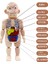 DD232CH Stili Çocuklar Için 3D Bulmaca Insan Vücut Anatomi Modeli Eğitici Öğrenme Organ Montaj Oyuncak Vücut Organ Öğretim Aracı (Yurt Dışından) 5