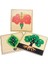 Ağaç Stili Bebek Montessori Malzemeleri Ahşap Bulmacalar Eğitici Oyuncaklar Bitki Büyüme Panosu Ahşap Oyuncak Öğrenme Tangram Jigsaw Çocuklar Okul Öncesi (Yurt Dışından) 2